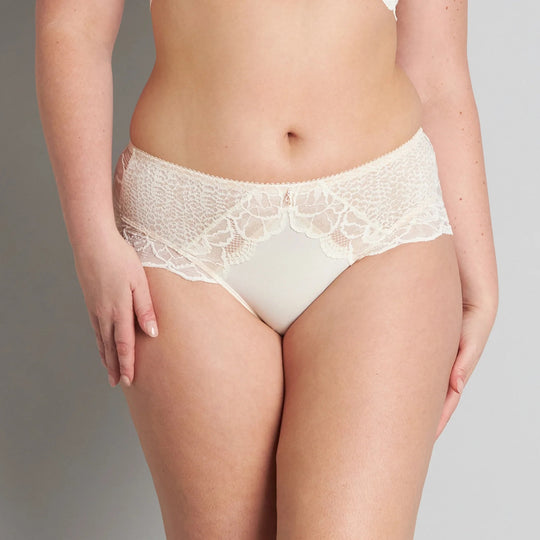 Midnight Express Full Brief - Egrets