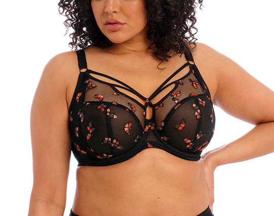 Sachi Underwire Plunge Bra - Black Butterfly